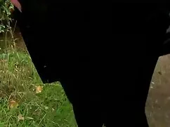 ニコラ 女性 向け 不倫 動画